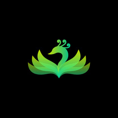 peacock vector illustration for an icon,symbol or logo. peacock template logo 