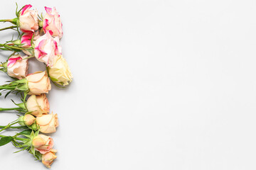 Composition with beautiful rose flowers on light background