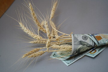 Almaty, Kazakhstan - 10.04.2022 : Stalks of harvested wheat and several dollar bills.