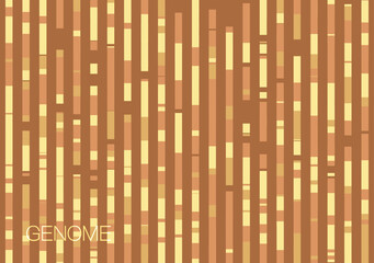 DNA genomic test, genome map.
