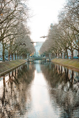 Königsallee Street, Dusseldorf