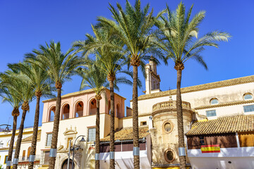 Tropical palm tree in the Plaza of Spain of Ecija with its world heritage buildings, Seville.