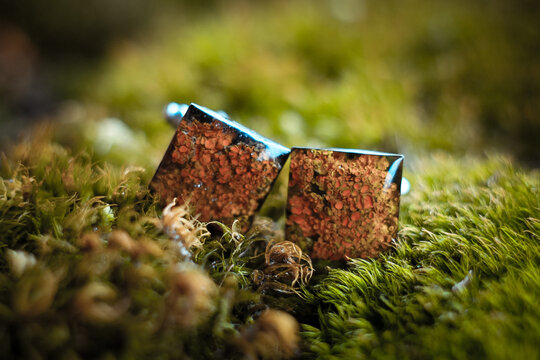 Close up handmade cufflinks with lichen and epoxide resin concept photo. Front view photography with moss on background. High quality picture for wallpaper, travel blog, magazine, article