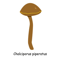 A flat vector of a poisonous mushroom isolated on a white background.