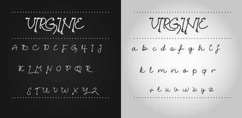 Signature Font Calligraphy Logotype Script Font Type Font lettering handwritten