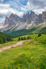 Obraz premium Flowering alpine meadow with a trail at a mountain massif