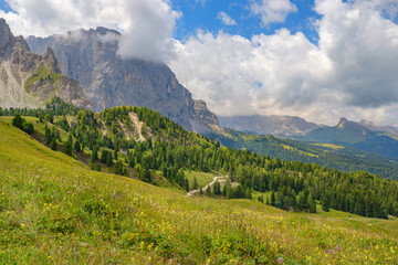 Fototapeta premium Mountainous alps landscape view with a flowering meadow