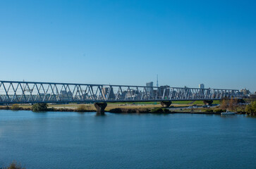 スカイツリー〜東京江戸川の土手・河川敷から