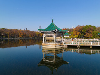 Fototapeta premium Autumn scenery of Wuhan East Lake Wetland Park Scenic Area