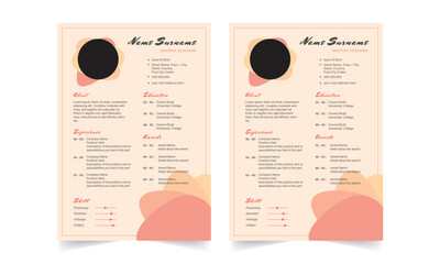 Professional Resume CV Template Layout.  Beautiful CV / Resume template - elegant stylish design 