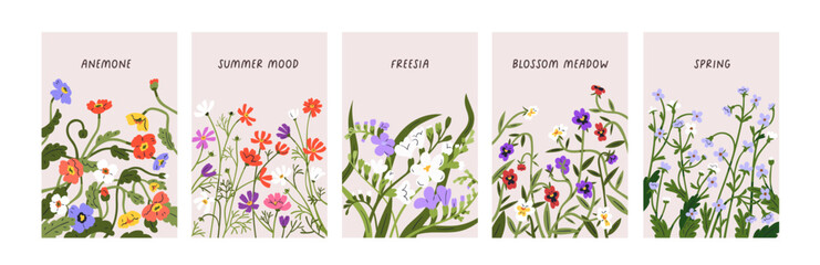 Floral cards with spring meadow flowers, field blossomed plants. Romantic botanical backgrounds set, floristic story covers with wildflowers, pansies, forget-me-nots blooms. Flat vector illustration