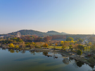 Fototapeta na wymiar Autumn scenery of Wuhan East Lake Wetland Park Scenic Area