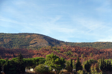 Fototapeta premium paysage d automne