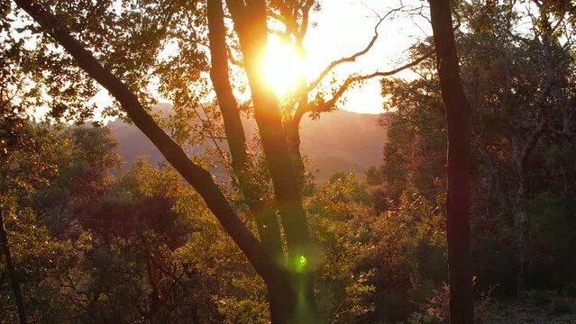 Aerial view of les Dentelles de Montmirail in front of the Mont Ventoux in the french alps at sunset
