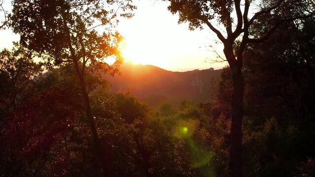 Aerial view of les Dentelles de Montmirail in front of the Mont Ventoux in the french alps at sunset