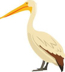 Obraz premium Crane Bird Illustration Vector