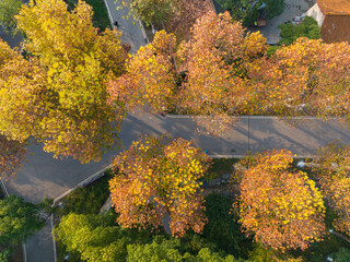 Obraz premium Wuhan Qingshan Park late autumn scenery in Hubei, China