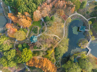 Wuhan Yuehu Park late autumn scenery in Hubei, China