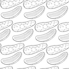 Vector cucumber pattern. Vegetable pattern. Detailed cucumbers drawing. Farm market product.