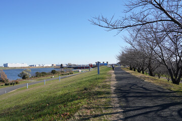 荒川土手
