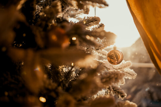 Christmas tree ornamnet isolated on sunshine light