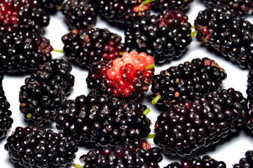 Mulberry fruit is a berry that comes from a tree called Morus Alba