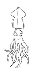 Vector isolated black line funny squid.