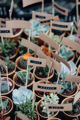 Gastgeschenk Kaktus Hochzeit