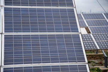 Obraz premium Solar Panels Under Overcast Weather