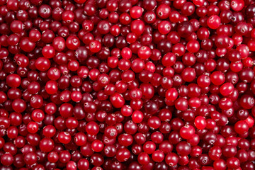 Cranberry background. Cranberries top view. Cranberry berries top view flat lay. Red background.
