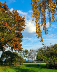 Different colors of Polish autumn