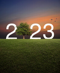 2023 white text with tree on green grass field over sunset sky with birds, Happy new year 2023...