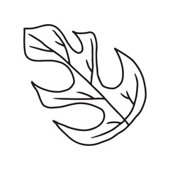 Tropical Plant leaf Doodle icon