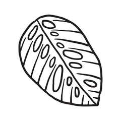 Tropical Plant leaf Doodle icon