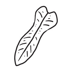 Tropical Plant leaf Doodle icon