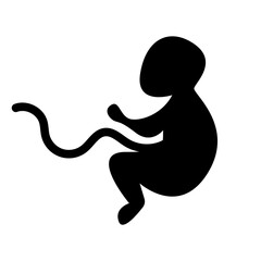 Obraz premium Silhouette of embryo child. Vector illustration