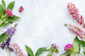 Floral flat lay with wild flowers and herbs. Field meadow plants