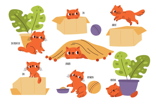 Learning prepositions with cat. Kids language education. Cartoon pet character. Different actions. Kitten under or behind object. Game method. Language vocabulary. Garish vector set