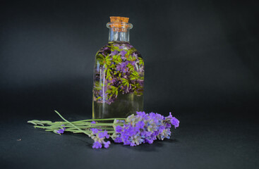 Lavender oil in glass bottle near fresh lavender flowers on black background