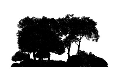 Silhouette tree brush design on transparent .background, illustrations brush brush from real tree with clipping path and alpha channel