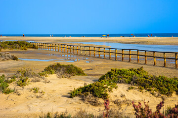 Salar de Jandia salt pan on the famous Playa del Matorral beach, Fuerteventura, Spain