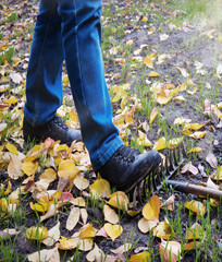 Male foot steps on a lying rake