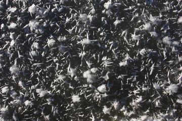 Winter sunny day. On a reservoir the field of ice decorated with chaotically located figured plates was formed. Original abstract background.