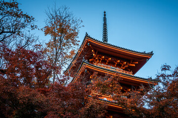 Red Chureito japanese pagoda stand against in autumn season