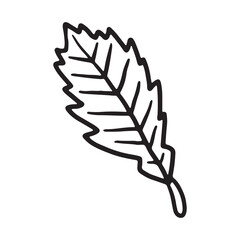 Dry autumn leaf Doodle icon