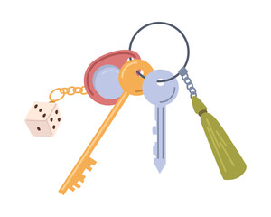 Keyring loss protection, real estate house pocket keys, real estate property rent and sale concept. Vector illustration of keyholder keyrings, key for apartment, unlock object
