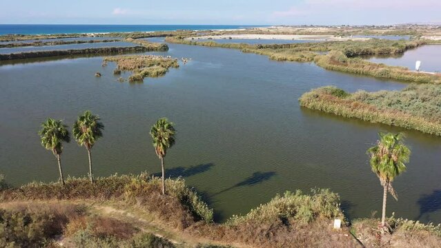 Aerial video of fish ponds in the area of Maagan Michael Israel