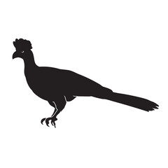 Bird of paradise vector animal black silhouette.