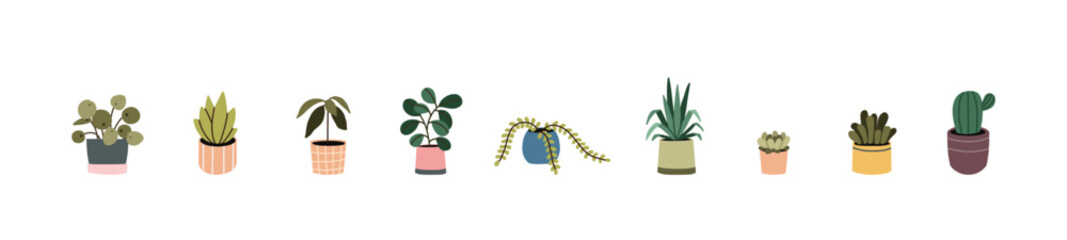 Potted plant. Houseplants in flower pot. Vector bundle of trendy plants
