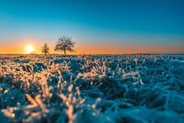 Frozen Winter Sunset